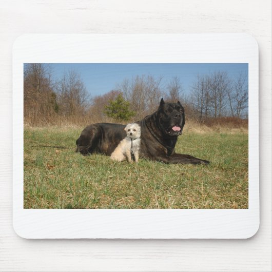Niedlicher Hundekuh Mousepad (Vorne)