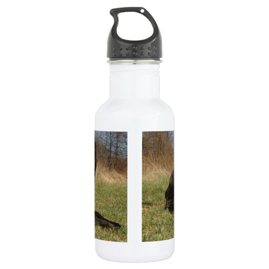 Niedlicher Hundekuh Trinkflasche (Rückseite)