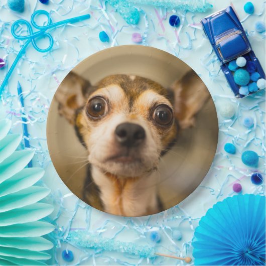 Niedlicher Hundepapier-Teller 10 Pappteller (Party)