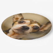 Niedlicher Hundepapier-Teller 10 Pappteller (Schrägansicht)