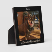 Niedlicher Hundeplatz Fotoplatte (Vorderseite)