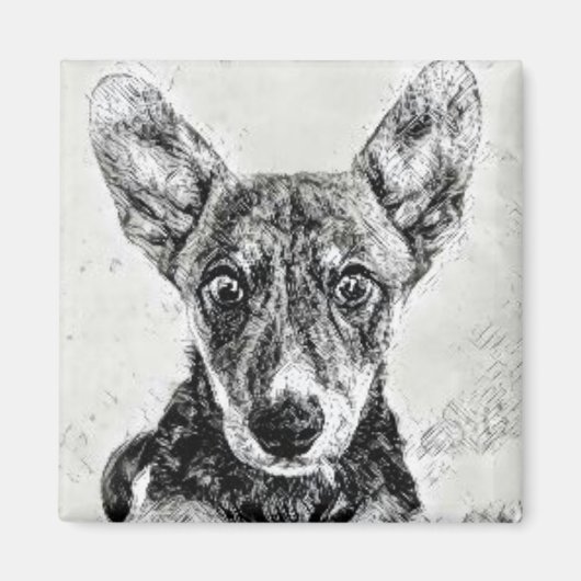 Niedlicher Hundeschlittenmagnet Magnet (Vorne)