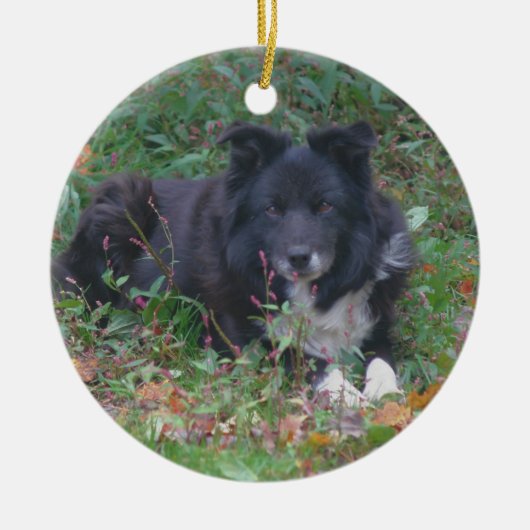 Niedlicher Hundeschmuck Keramikornament (Vorne)