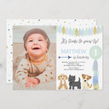 niedlicher Hundewelpen-Foto