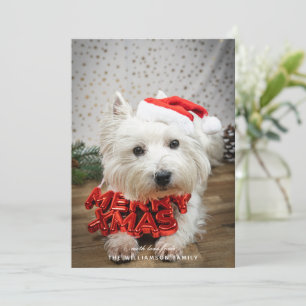 Niedlicher Hundewelpen Frohe Weihnachtskarte Feiertagskarte