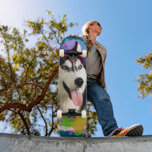 Niedlicher Husky. Skateboard