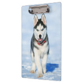 Niedlicher Husky Welpenhund im Schnee Klemmbrett (Links)