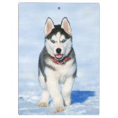 Niedlicher Husky Welpenhund im Schnee Klemmbrett (Rückseite)