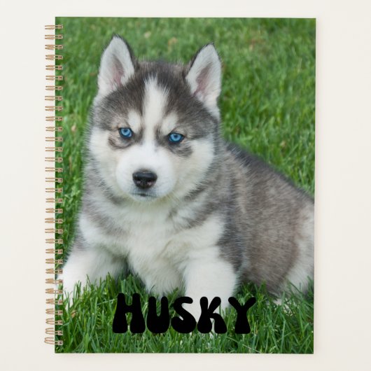 Niedlicher Husky Welppy Calendar-Planer Planer (Vorderseite)