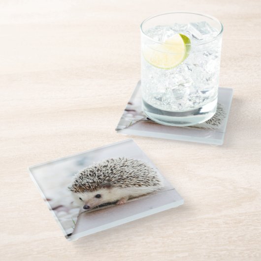 Niedlicher Igel Baby Glasuntersetzer (Schrägansicht)