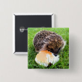 NIEDLICHER IGEL BUTTON (Vorne & Hinten)