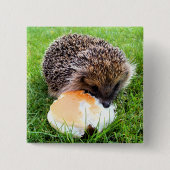 NIEDLICHER IGEL BUTTON (Vorderseite)