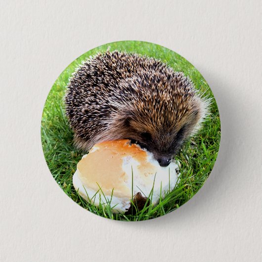 NIEDLICHER IGEL BUTTON (Vorderseite)