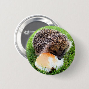 NIEDLICHER IGEL BUTTON