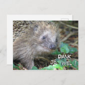 Niedlicher Igel dank Je Wel Postcard Postkarte (Vorne/Hinten)