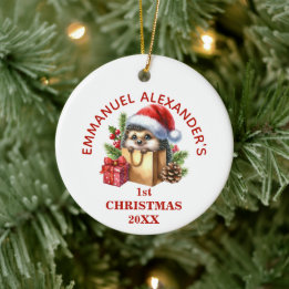 Niedlicher Igel Erster Weihnachten Personalisiert Keramik Ornament