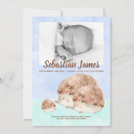 Niedlicher Igel Familie Neugeborenes Foto Personal Ankündigung