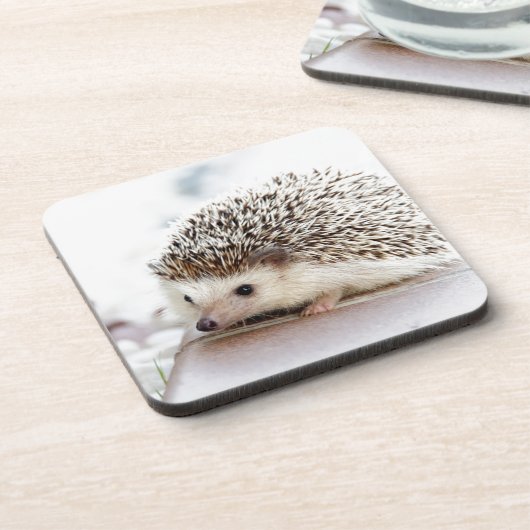 Niedlicher Igel Getränkeuntersetzer (Linke Seite)