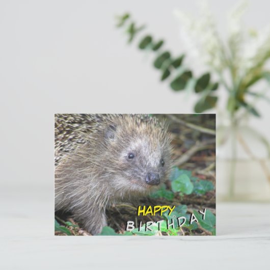 Niedlicher Igel Happy Birthday Postcard Postkarte (Stehend Vorderseite)
