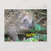 Niedlicher Igel Happy Birthday Postcard Postkarte (Vorderseite)