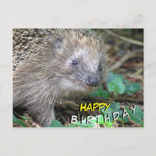 Niedlicher Igel Happy Birthday Postcard Postkarte (Vorderseite)