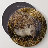 Niedlicher Igel im Stubelfeld Button (Vorne & Hinten)