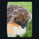 NIEDLICHER IGEL iPad PRO COVER<br><div class="desc">Ein niedlicher kleiner Igel,  der eine recht große Mahlzeit genießt!</div>