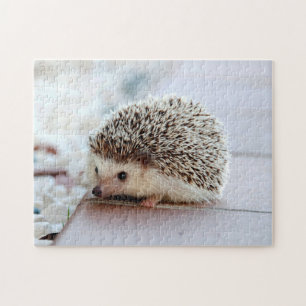 Niedlicher Igel, Jigsaw Puzzle