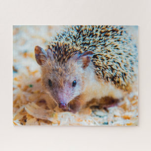Niedlicher Igel, Jigsaw Puzzle