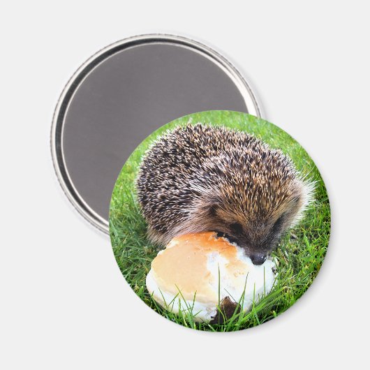 NIEDLICHER IGEL MAGNET (Vorderseite/Rückseite)