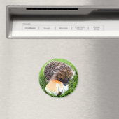 NIEDLICHER IGEL MAGNET (In Situ (Geschirrspüler))