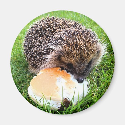 NIEDLICHER IGEL MAGNET (Vorne)