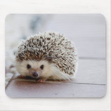 Niedlicher Igel, Mauspad