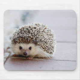 Niedlicher Igel, Mauspad