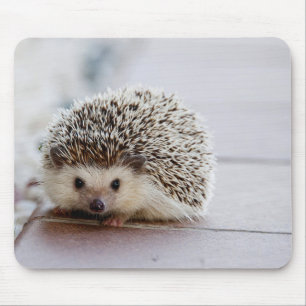 Niedlicher Igel, Mauspad