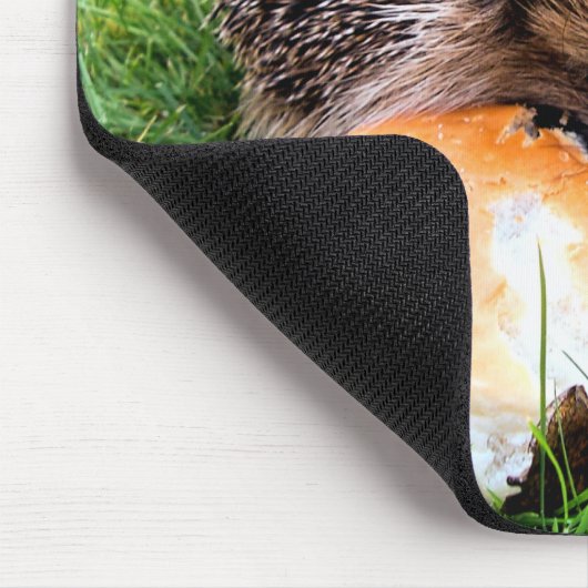 NIEDLICHER IGEL MOUSEPAD (Ecke)