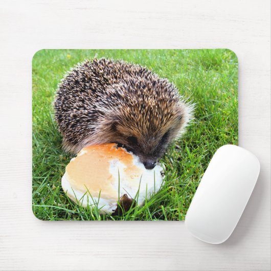 NIEDLICHER IGEL MOUSEPAD (Mit Mouse)