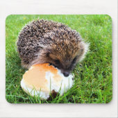 NIEDLICHER IGEL MOUSEPAD (Vorne)
