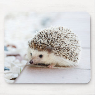 Niedlicher Igel Mousepad