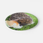 NIEDLICHER IGEL PAPPTELLER (Schrägansicht)