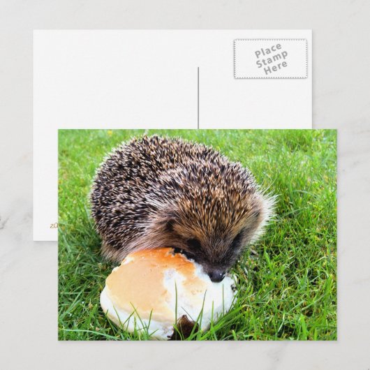 NIEDLICHER IGEL POSTKARTE (Vorne/Hinten)
