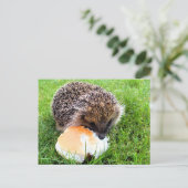 NIEDLICHER IGEL POSTKARTE (Stehend Vorderseite)