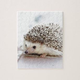 Niedlicher Igel Puzzle