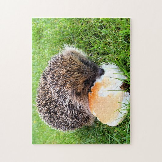 NIEDLICHER IGEL PUZZLE (Vertikal)