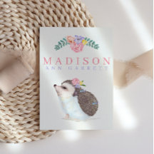 Niedlicher Igel Rosa Foto