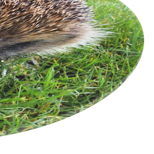 NIEDLICHER IGEL SCHNEIDEBRETT (Ecke)