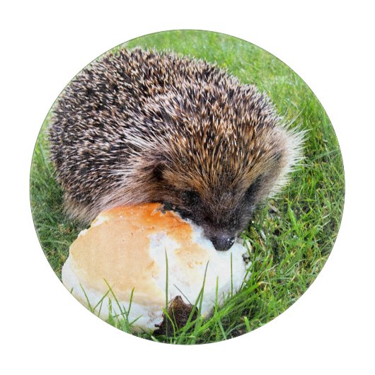NIEDLICHER IGEL SCHNEIDEBRETT (Vorderseite)