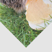 NIEDLICHER IGEL SEIDENPAPIER (Detail)