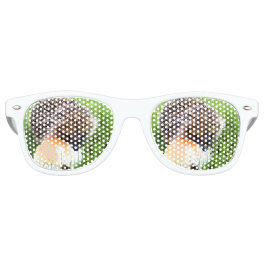 NIEDLICHER IGEL SONNENBRILLE (Vorderseite)