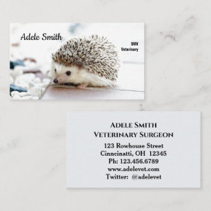 Niedlicher Igel Veterinärmedizinische Standardkar Visitenkarte